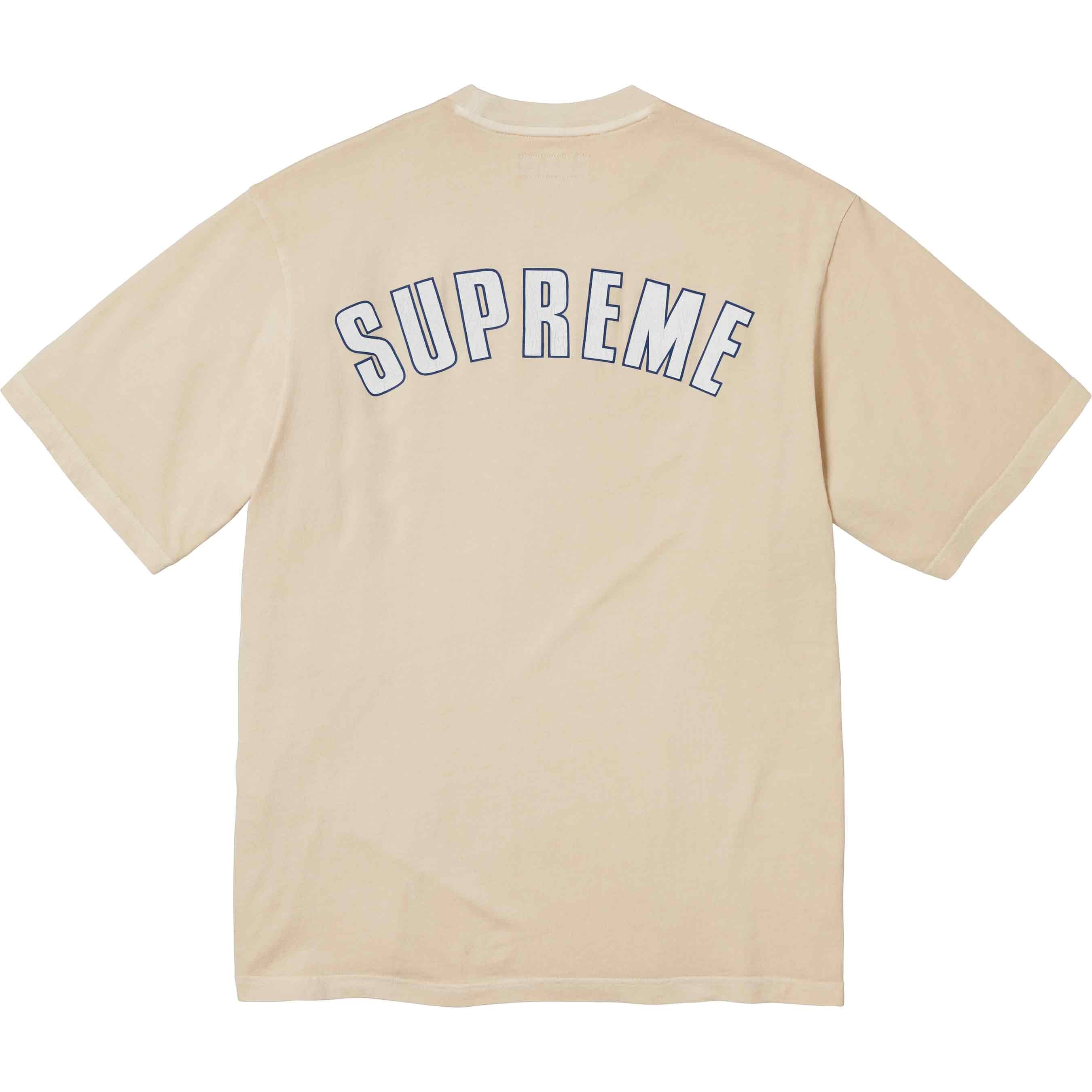 Cracked Arc S/S Top view 9